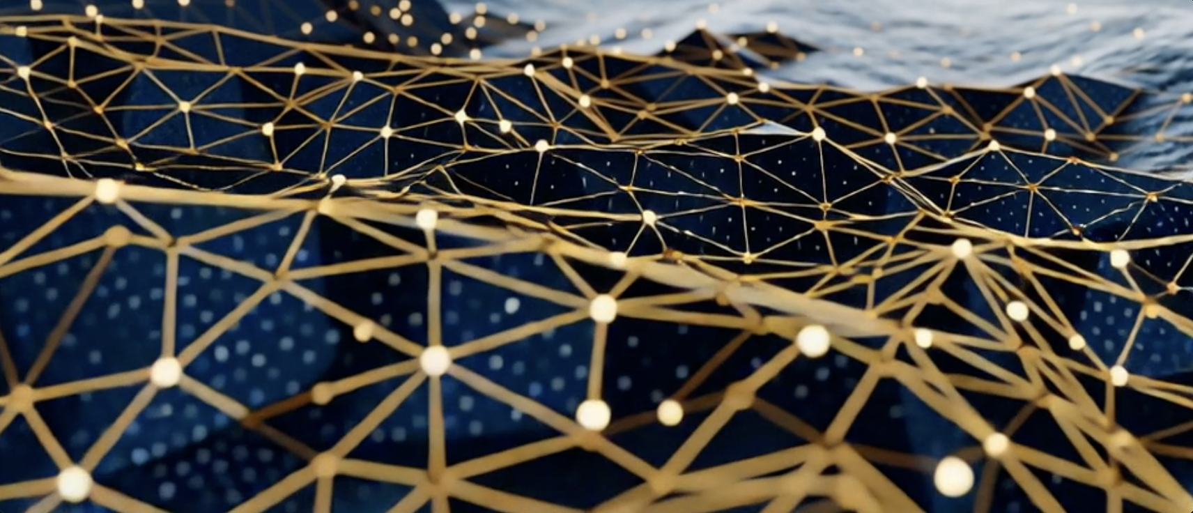 Digital Assets